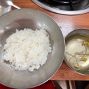 영커피금정