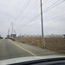 들꽃가람 이미지