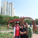 장미의거리5 이미지