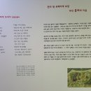동성리 마을진입로0009 | 두륜산(頭輪山)의 대흥사(大興寺)와 만덕산(萬德山)의 백련사(白蓮寺), 강진(康津) 사의재(四宜齋)와...