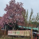 대가정통묵집 이미지