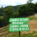 자유공간 사슴목장 | 태백여행 | 꽃사슴 볼 수 있는 초록뿔언덕 체험형카페