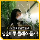 봄 향기 그리는 보타니컬아트 초급 | [KB별난청춘] 식물로 힐링하자! 청춘마루 이끼볼 화분만들기 클래스