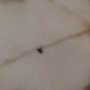 장구산가든 | 일본 * 인천 장기 주차장 예약 및 대한항공 서편 가든 라운지 이용 후기