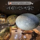 명진교통(주) | 현실 같은 공룡이 있는 서대문자연사박물관 관람 및 주차 정보