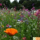 송탄소나무한의원 이미지