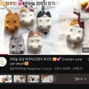 몽글이네 이미지
