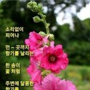 (사)대한노인회 무안군지회 | 수성구지회 노인대학 인문학 특강 후기