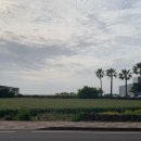 트레이닝팜트리 이미지