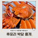 후포리 | 집에서 먹는 홍게찜 &#39;대진수산&#39; 후포리 박달 홍게 배송 후기