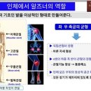 알즈너대한 이미지