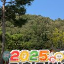 김밥천국 통도점 | 김천 김밥축제 생생 체험 후기