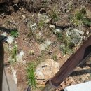 해남땅끝호텔 이미지