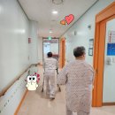 의료법인 대한불교조계종 승려복지 아미타불교요양병원 이미지