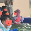 과일의시작야미석촌호수점 | 용인 키즈캠핑장 캠핑야미 주말 3시간 이용 후기 및 총정리 꿀팁포함! 긴글!