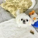 은혜미용샵