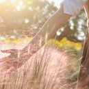 부산광역시 장애인 종합복지관 이미지