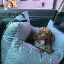 고마운약국 | 11월엔 생일 공주모드 ON/고마운 사람들이 넘 많은 한달 일상 모음