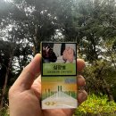 동일가든 | 가볍고 상큼한 담배 찾는다면? 말보로 비스타 가든 스플래쉬 솔직 후기