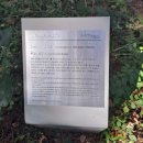 [공주 연미산자연미술공원] 충남 가볼만한곳 야외미술관