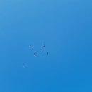 누리조명