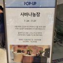 현대농장 | 🌿 청주 현대백화점 '사바나 농장' 식물 팝업스토어 후기