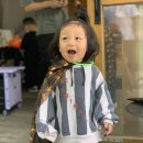 하늘바라기캠핑장 이미지