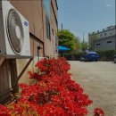 YJ요양원 이미지