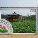 넓은 세상 인터넷 파크 이미지