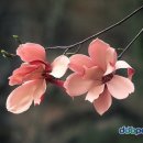둥우리 - 양산시 | 둥우리