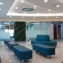 고릴라신경외과의원 이미지