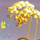 믿음 이미지