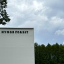휘게 포레스트 b10 사이트 후기, 미니멀웍스 알베르게, 5성급 캠핑장
