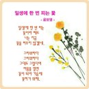 솜씨방 Daum카페