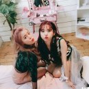 데이데이21 이미지