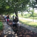 하단동1042 이미지