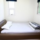 멍스타애견 이미지