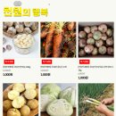 행복야채 - 전주시 완산구 장승배기로 11 | 행복야채