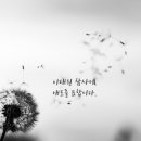 강호태권도 이미지