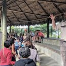 완전농장 | 마이애미 에버글레이즈 악어 농장 투어 완전정복 – 위치·영업시간·에어보트 체험 후기까지 한 번에 정리