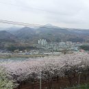 봉황산 공원 이미지