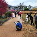 남평문씨본리세거지 주차장 이미지