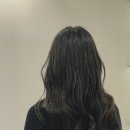 헤어그리니 네이버블로그