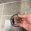 범천LH(임대주택) | Lh임대주택 입주청소후기 진행방법