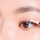 Refine dog 이미지