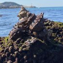 남원읍-14 이미지