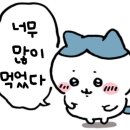 등대굴집
