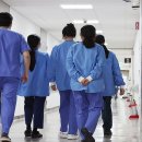 사직-비상-1호 이미지