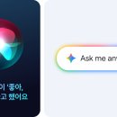 그라디언트