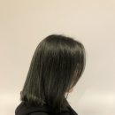 세진헤어 - 달서구 | 세진헤어